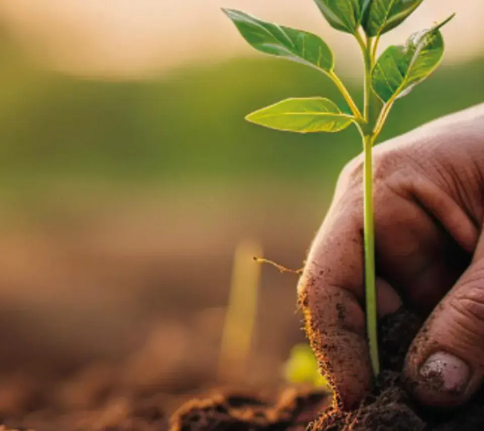 Agriweek 2025 événement